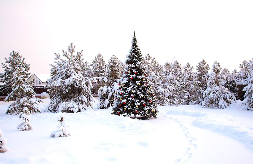 Зимние фотографии поселка Emerald Village