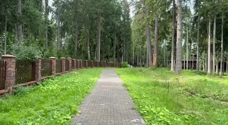 Лесные участки