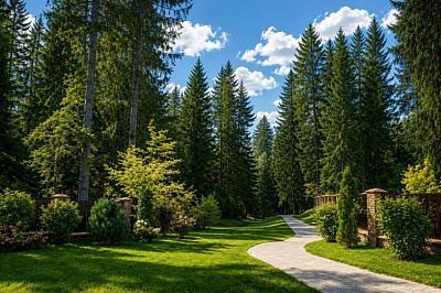 Галлерея поселка Emerald Village