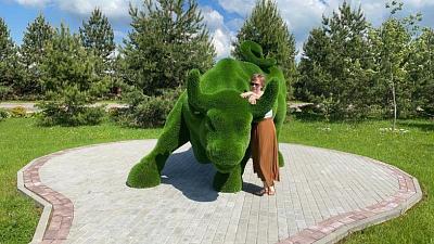 Топиари парк - бык - в поселке Emerald Village